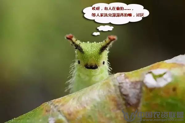 附件