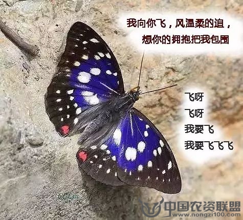 附件