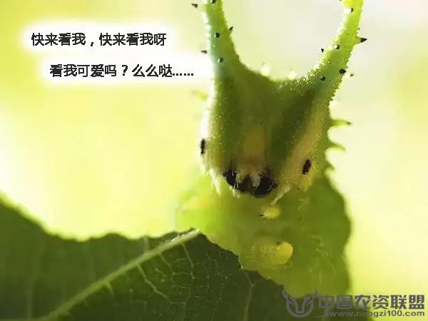 附件