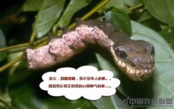 附件
