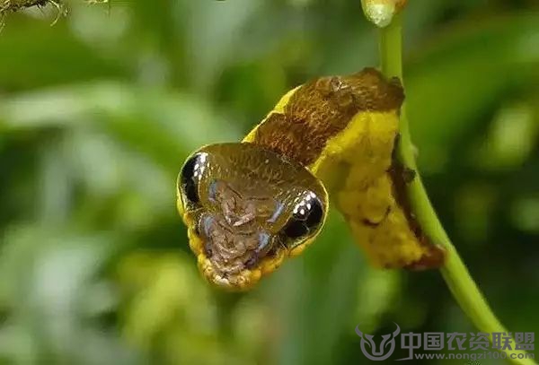 附件