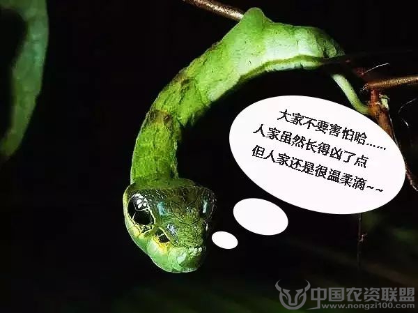 附件