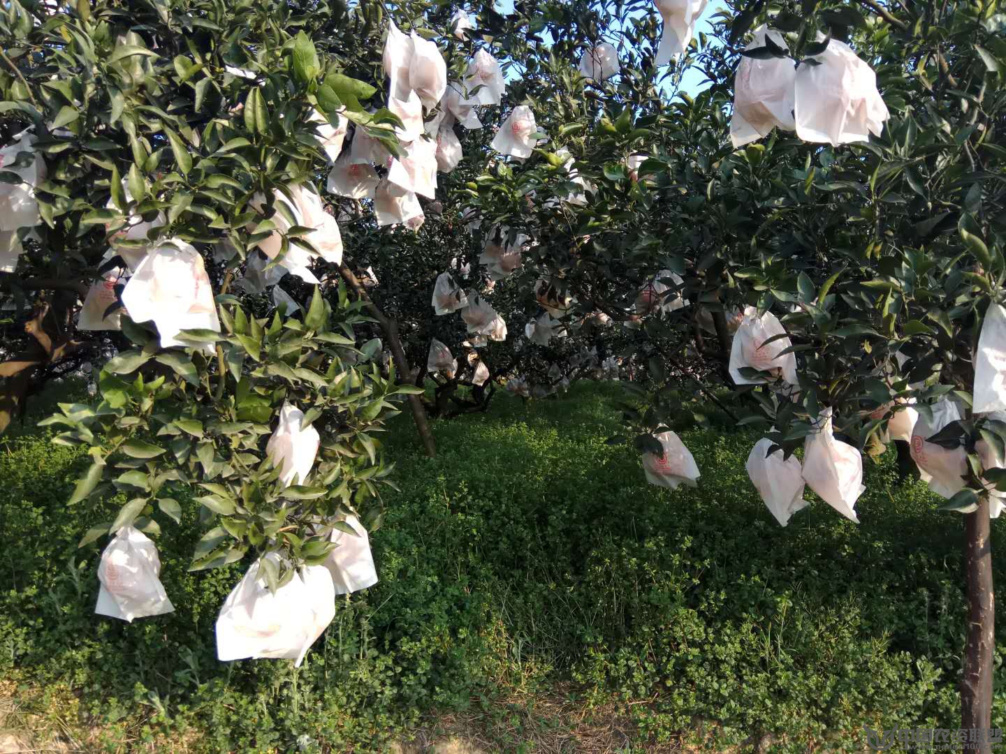 附件