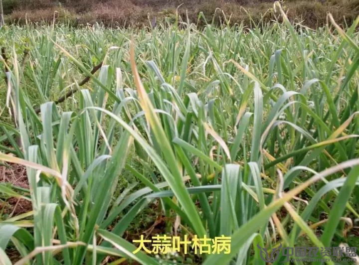 附件
