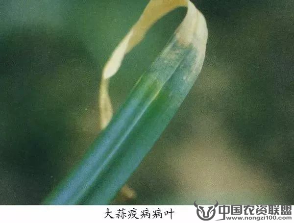 附件