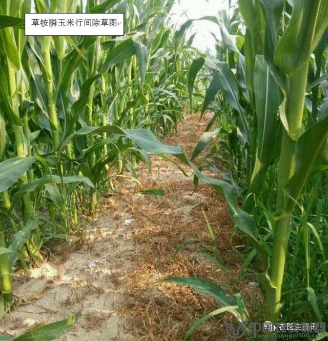 附件