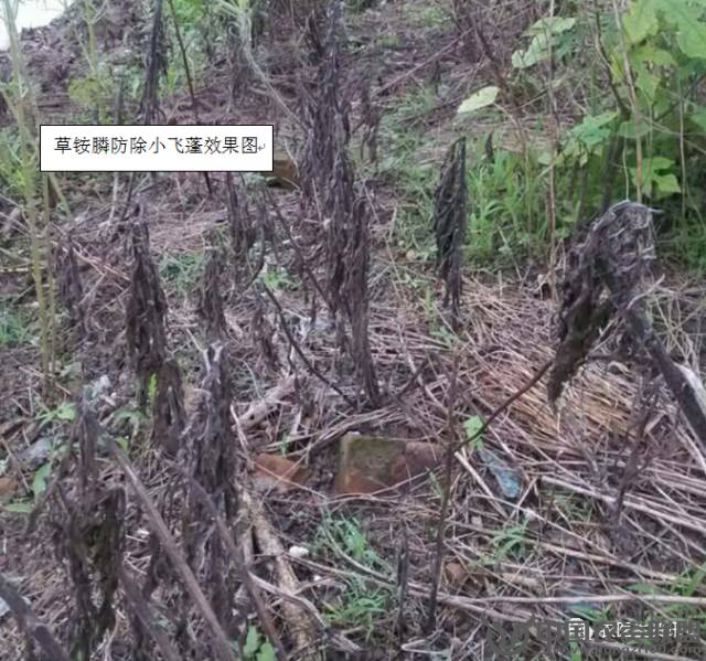 附件