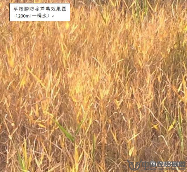 附件