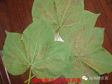 附件