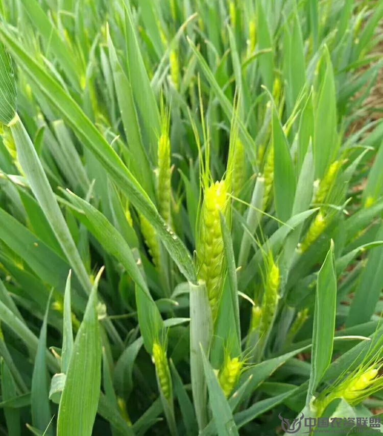 附件