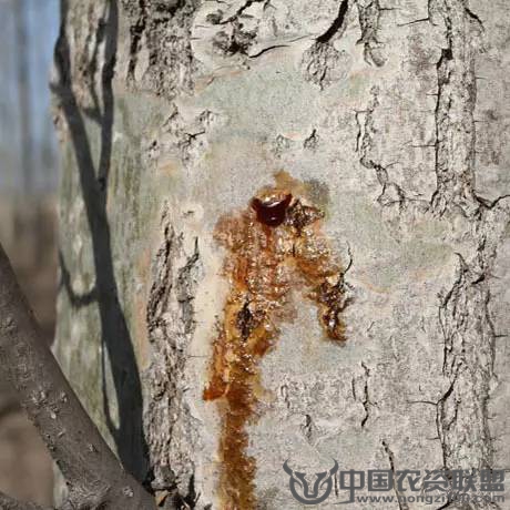 附件