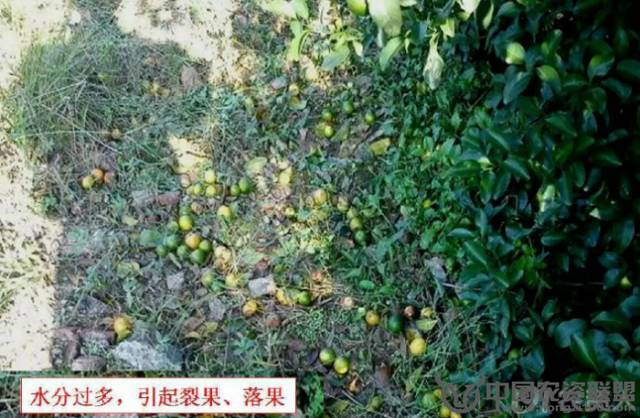 附件