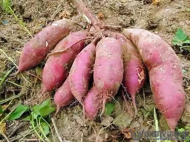 附件