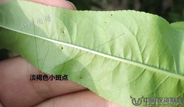 附件
