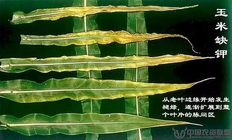 附件