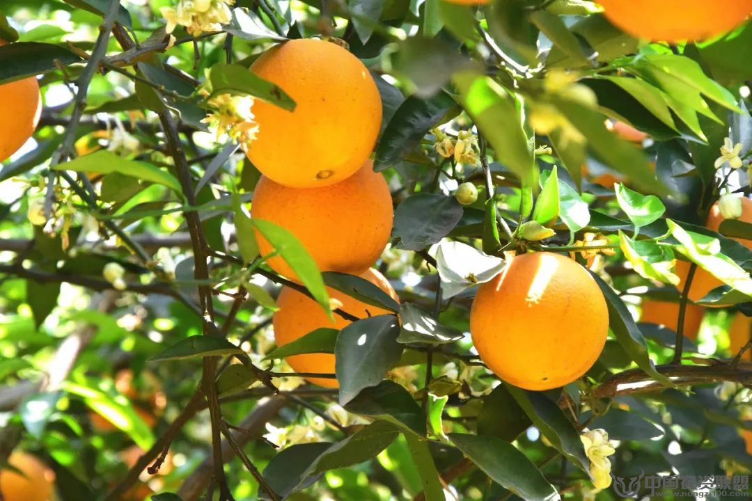 附件