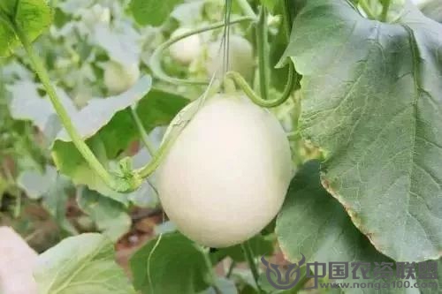 附件