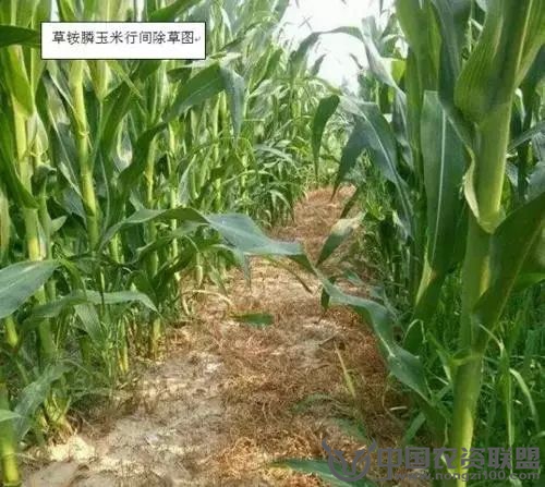 附件