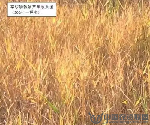 附件
