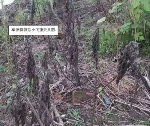 附件