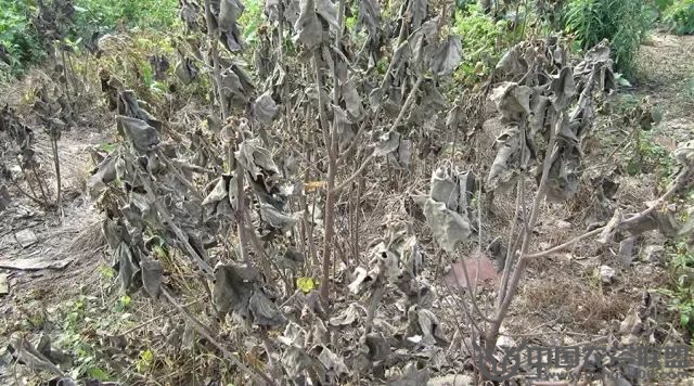 附件