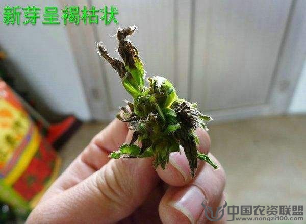 附件