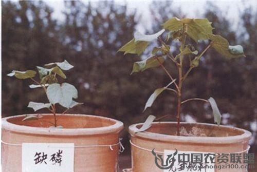 附件