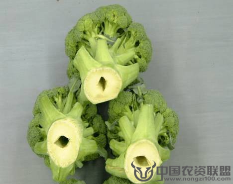 附件