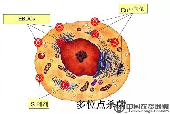 附件