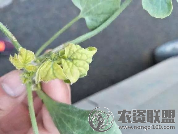 附件