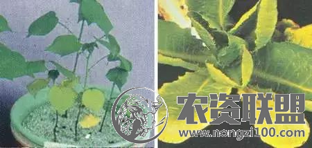 附件