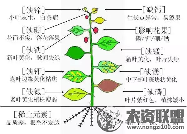 附件