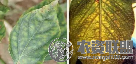 附件