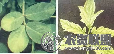 附件