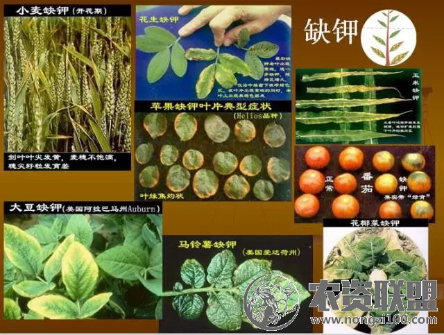 附件