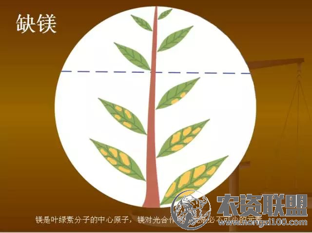 附件
