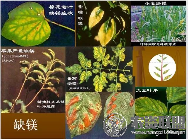 附件