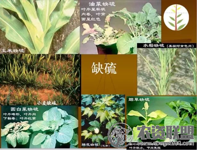 附件