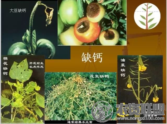 附件
