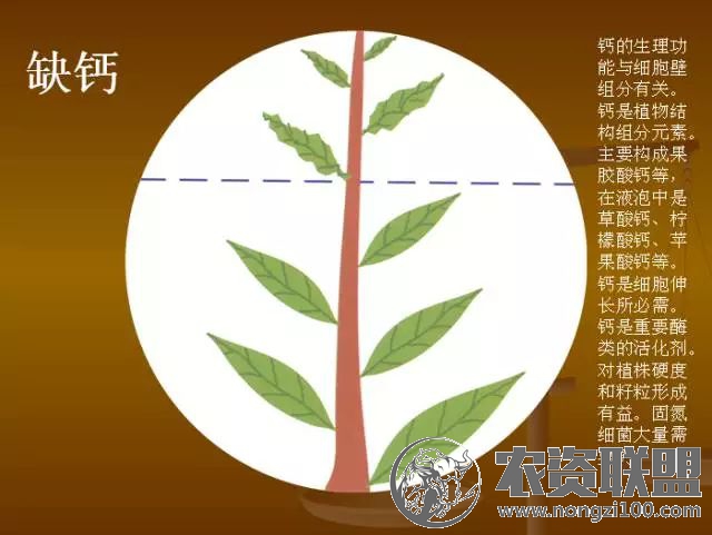 附件