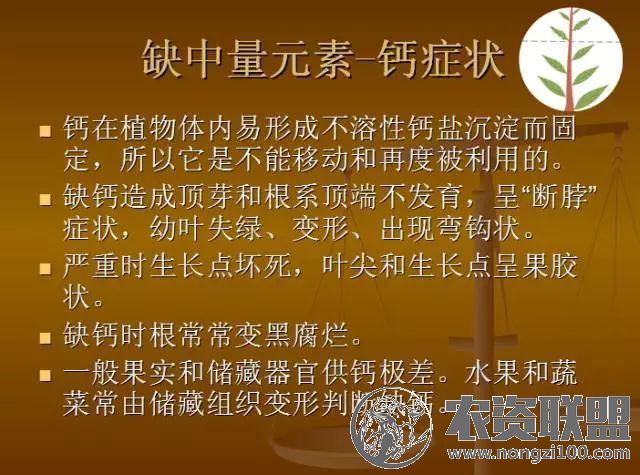 附件