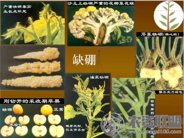 附件