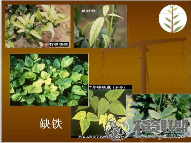 附件
