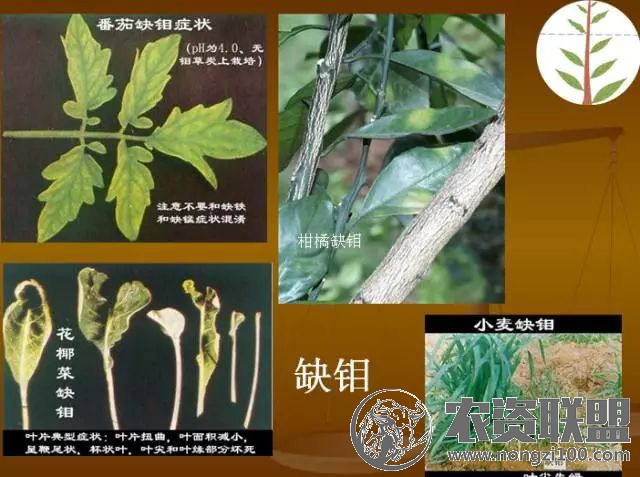 附件