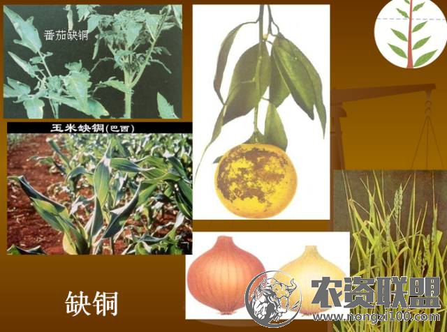附件