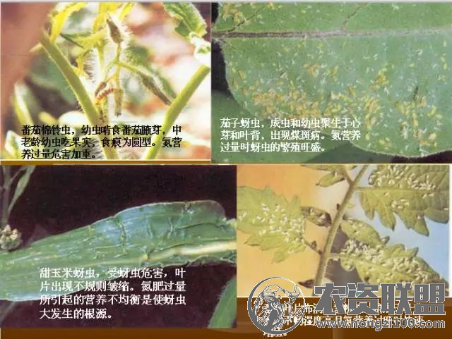 附件