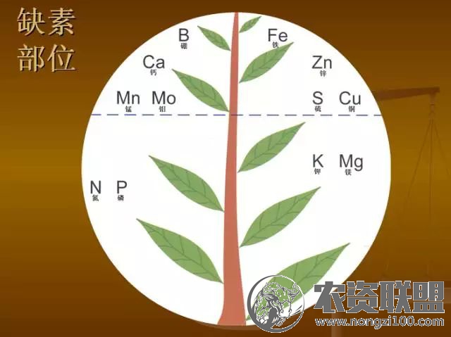 附件