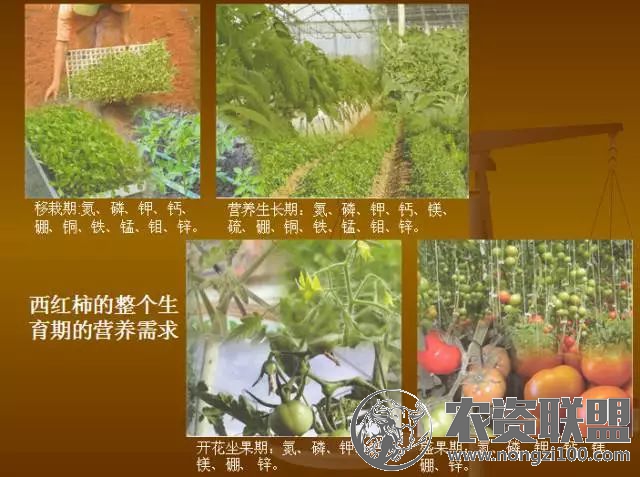 附件