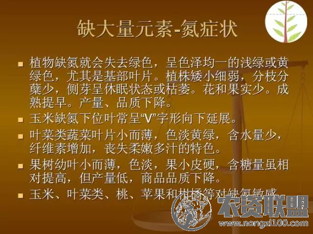 附件