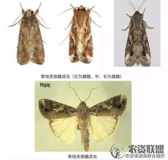 附件